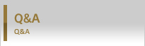 Q&A